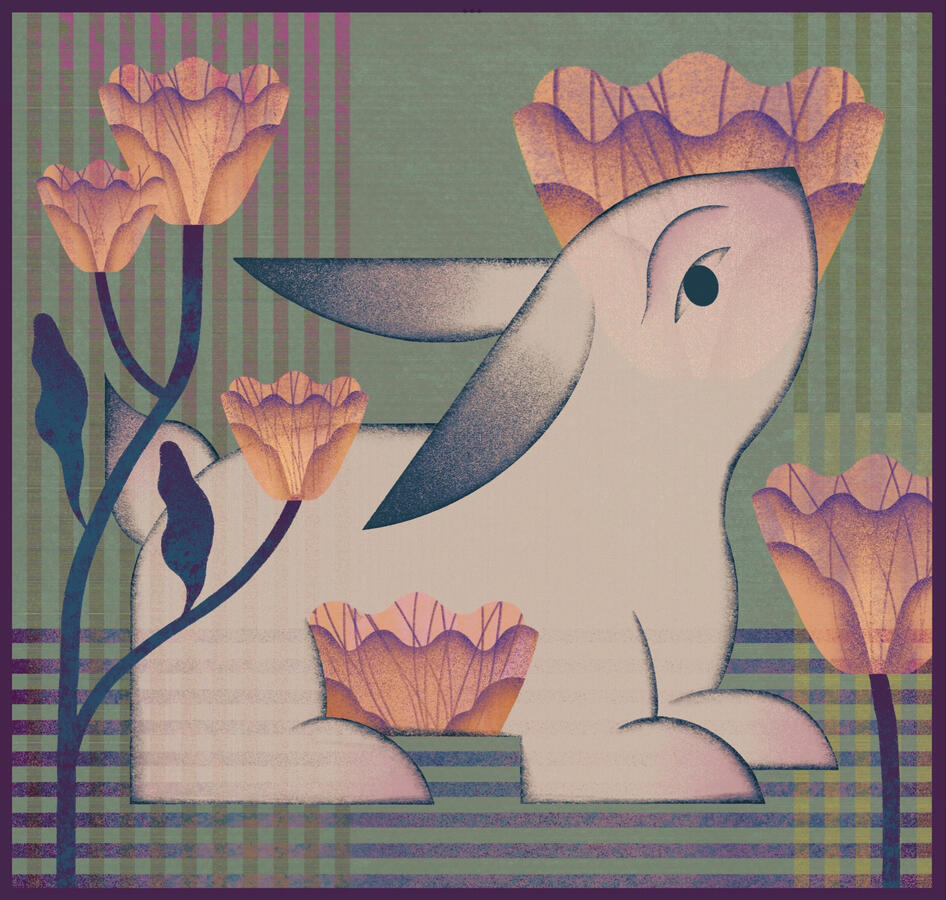 Year of the Rabbit 2023