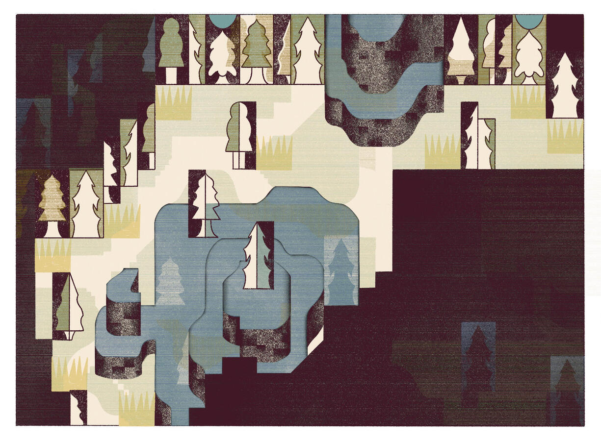 Randomly Generated Forest